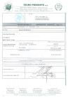 Заключение_по_UNI_CEN-TS_14416_COVER_UP_XLT_Стоикость_к_прорас_yXti6pT